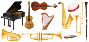 vector different types of classical music instruments large