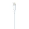 Apple-Cabo-de-Lightning-para-USB-2M-IMG-03
